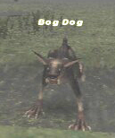 Bog Dog Picture